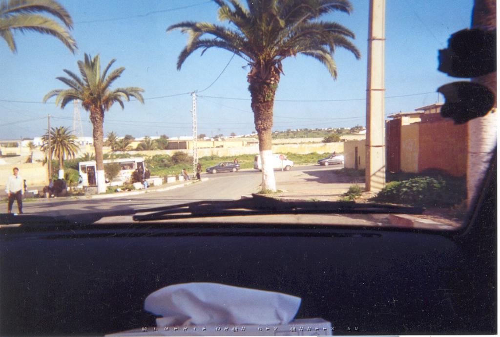 ORAN 2003 06 AVENUE DES PALMIERS ET EN ARRIERE PLAN LE CAMP MILITAIRE.JPG